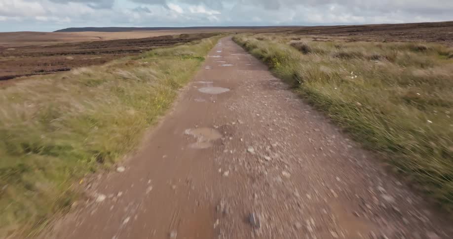 Dirt road with puddles runs through open field
