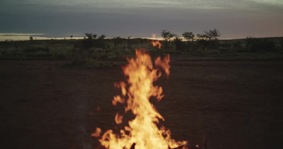 A large campfire burns brightly in a dark field with small bushes and a cloudy sky in the background at dusk