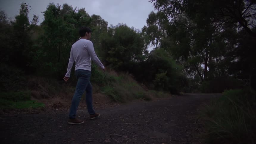 Man walking down a field on a cloudy day