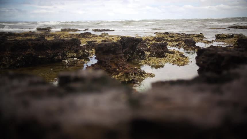 Exposed rocks on the edge of a shore