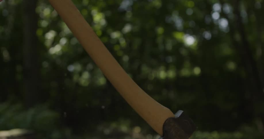 An ax chops into the top of a tree stump in the forest