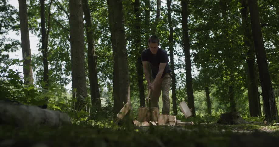 Man cutting wood with an axe in the forest at midday