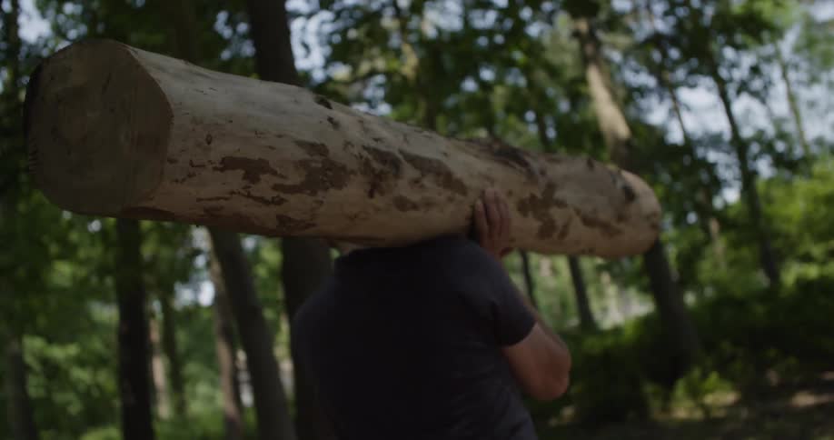 A full view from a low angle shows a man carrying a heavy wooden log on his shoulder through a sunny forest clearing