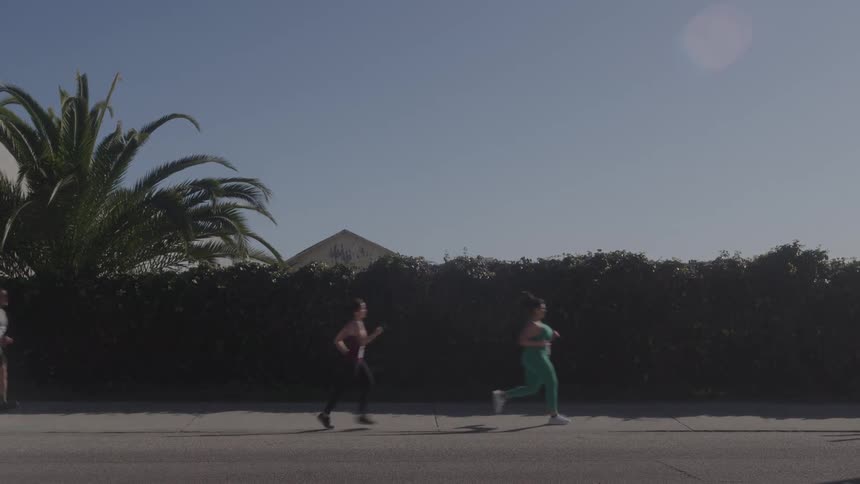 People run along a sunlit street beneath palm trees moving with steady focus