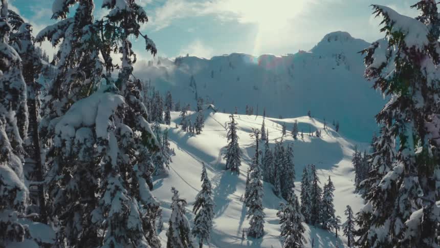 A high view shows snowcovered pine trees and rolling hills in a wide snowy mountain landscape under a bright clear sky