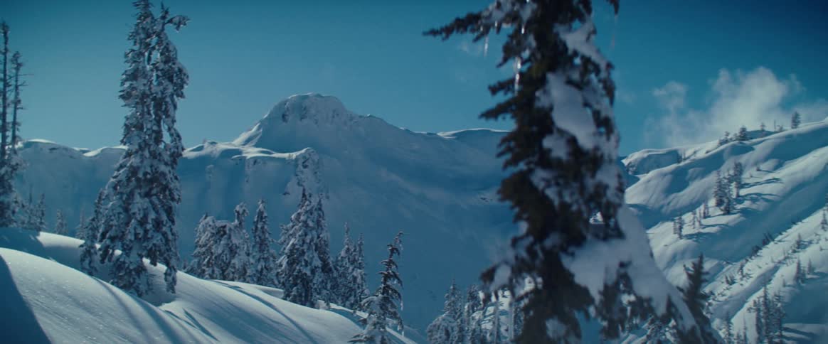 Snowcovered mountains with tall pine trees under a blue sky