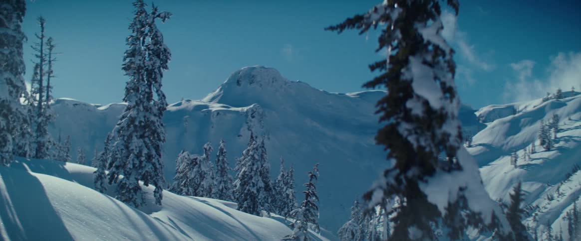 Snow covered trees stand on a sunlit mountain slope with larger majestic peaks in the background under a clear blue sky
