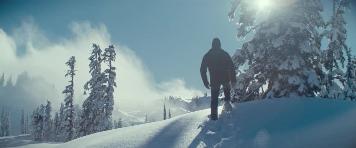 Man walking through snow with conifers