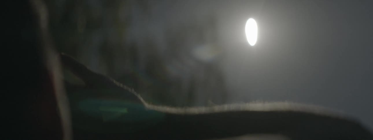 The eclipse is bright in the dark sky