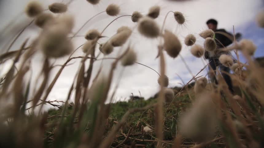 Man walks across a field with clouds overhead