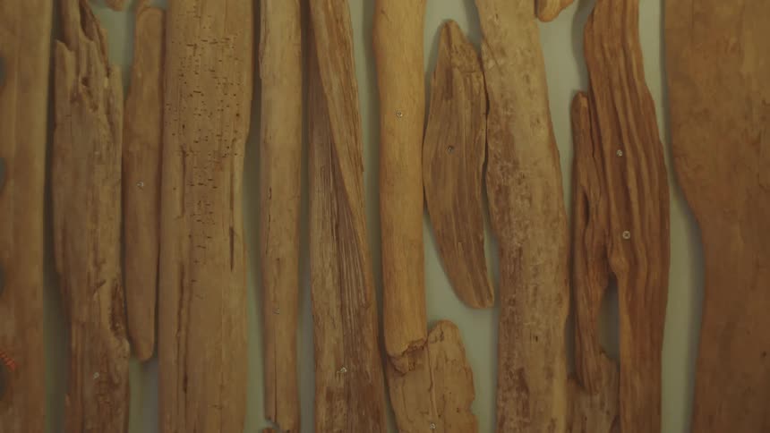 A vertical closeup shot of thin long pieces of driftwood that are arranged side by side the driftwood has a variety of textures and colors from light tan to a darker brown