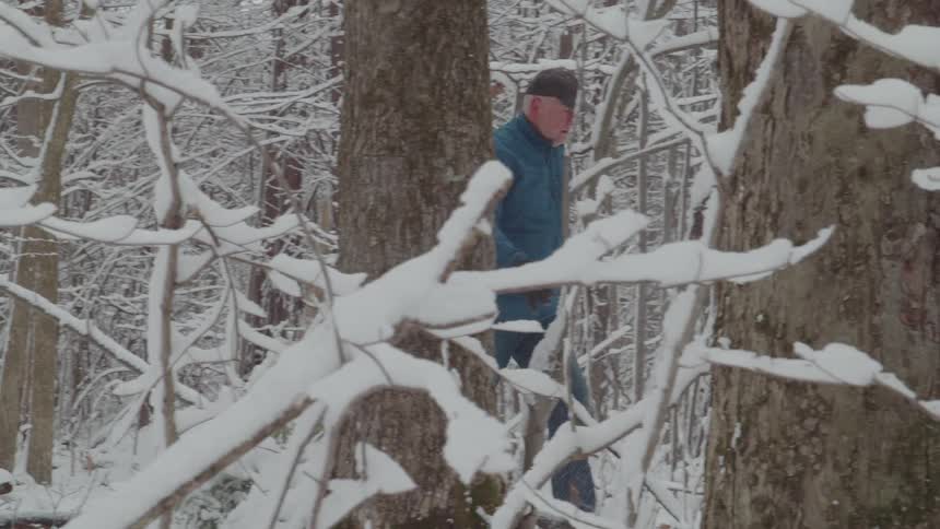 A wide shot of a snowy forest with a man in a blue jacket walking through the trees the bare branches are heavily covered in fresh snow creating a serene winter scene