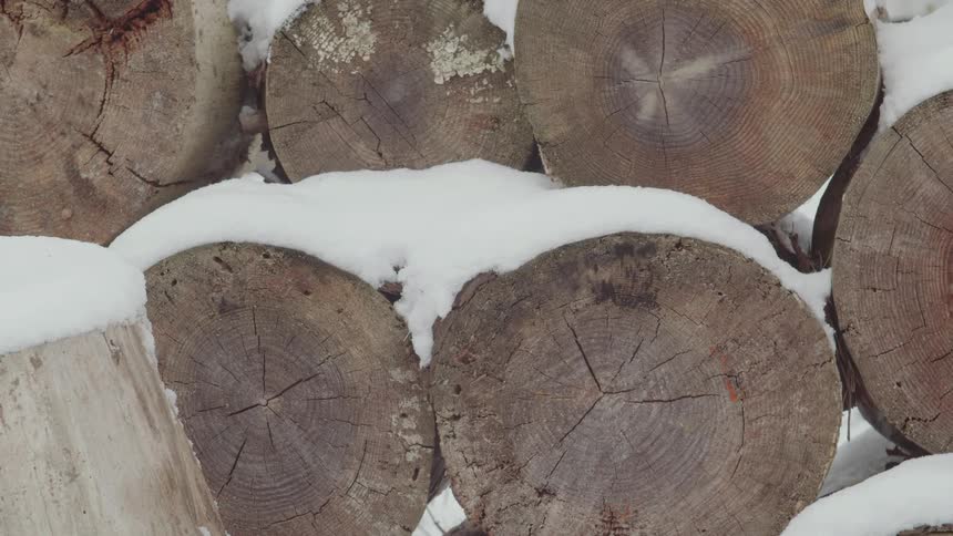 The logs are stacked and covered with snow
