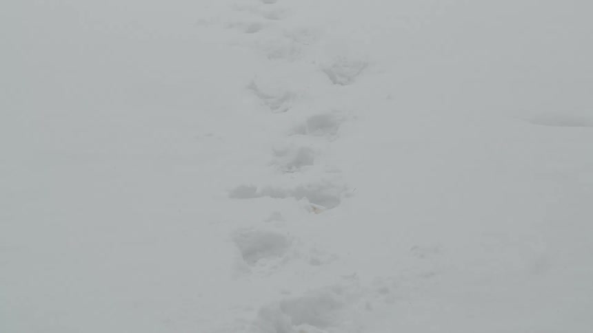 The camera shows a path of footprints in the snow that extends into the distance