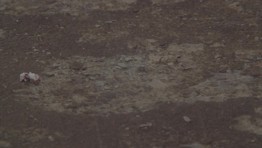 A view of the ground with raindrops falling and a rock on its surface