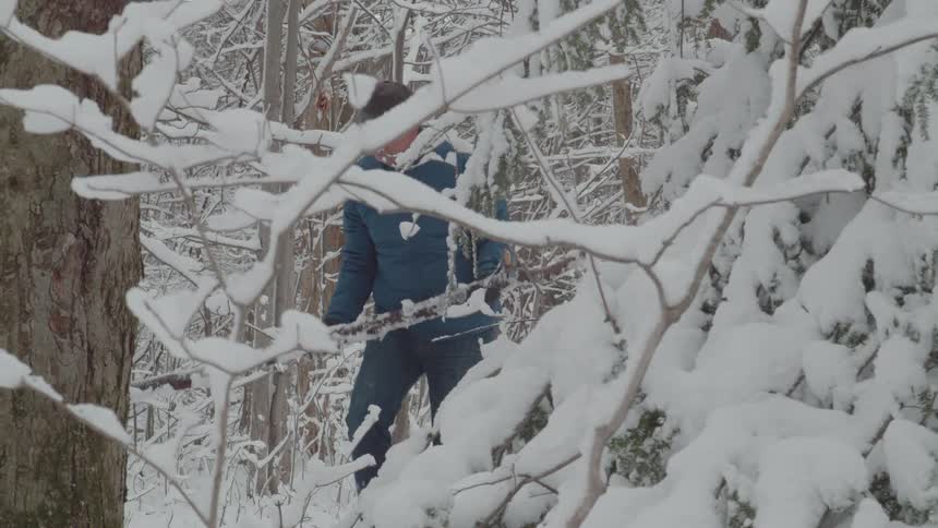 Man walking among snowcovered trees
