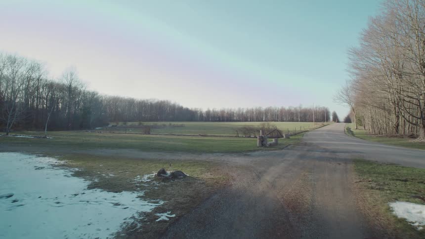 A long field is before the forest
