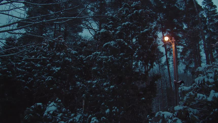 Streetlight glowing among snowcovered trees at dusk