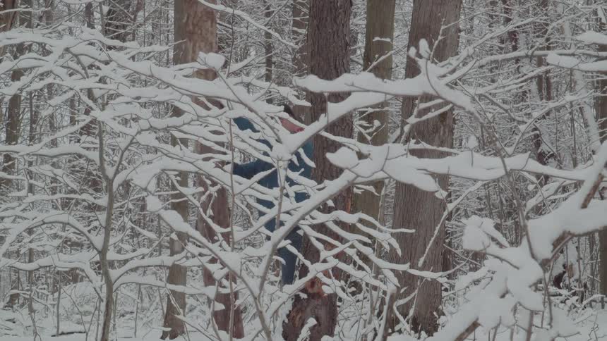 A person in a blue jacket is seen standing in a snowcovered forest hidden behind several trees the branches of the surrounding trees are completely covered in a blanket of snow