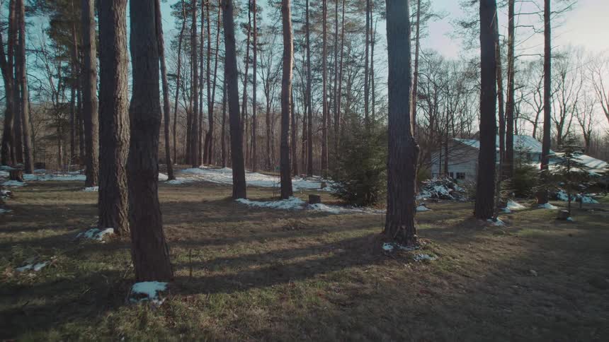 Rural area with a house next to a forest with small piles of snow around outdoors during dusk or dawn