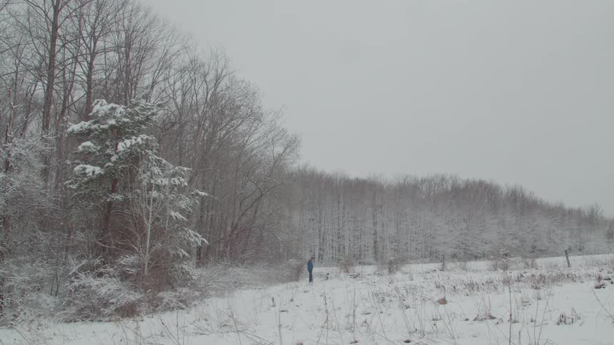 A person walking away down a path in a snowcovered field with bare trees and a line of evergreen trees in the distance