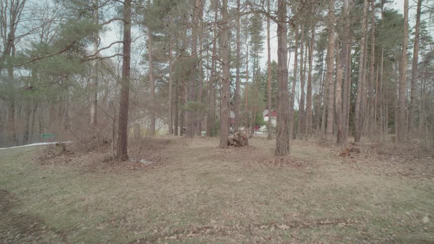 A house with a large wooded yard