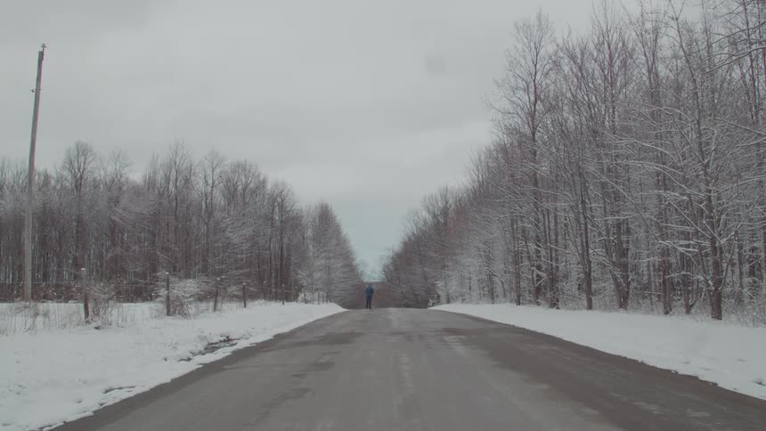 A long view shows a lonely person in a blue jacket walking down a rural road covered in a fresh layer of snow with bare trees on both sides and a flat gray sky