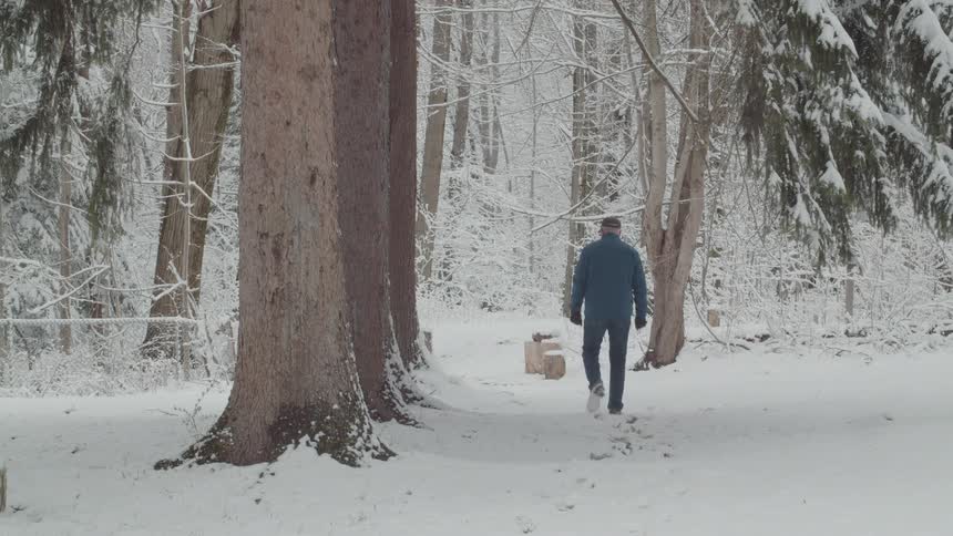 A man takes a walk in the snowy woods