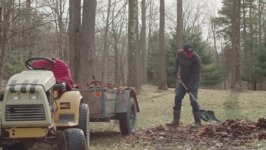 A man scoops leaves into a tractor bed
