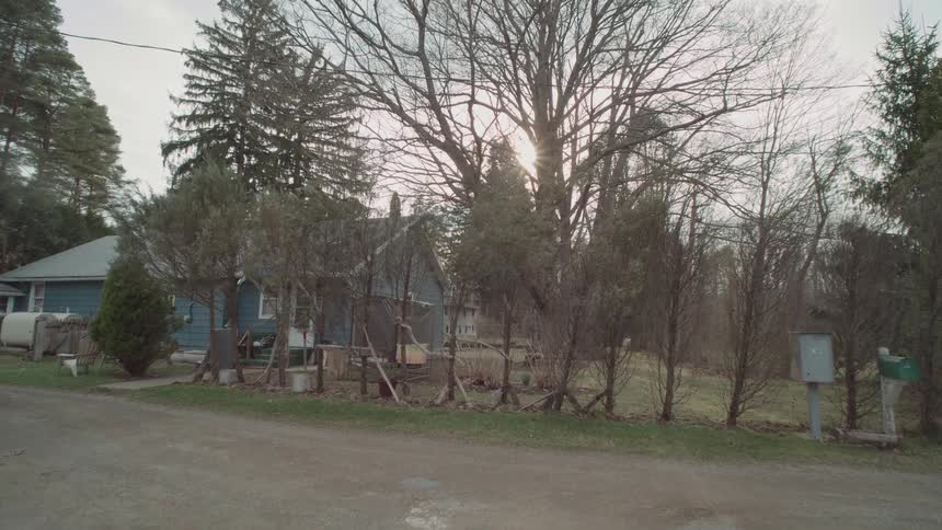 A lowangle wide shot shows a small residential area with a few houses and many bare trees the sun is setting behind one of the trees with a bright burst of sunlight