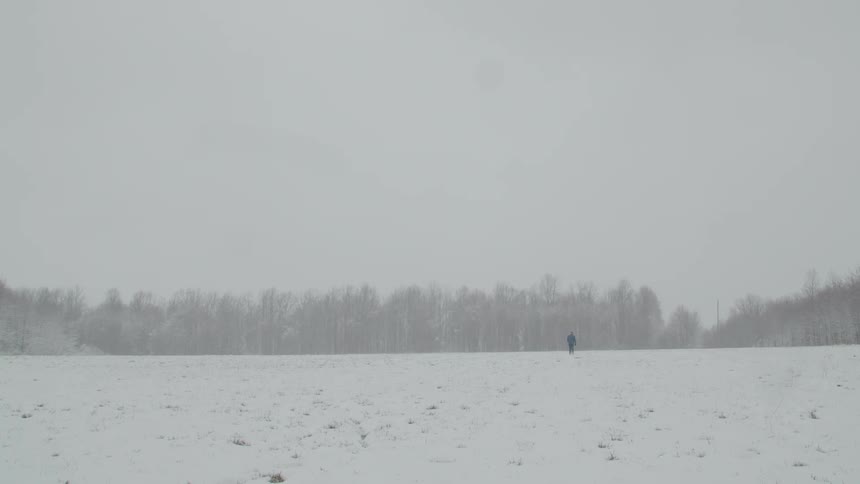 The video shows a wideangle shot of a snowcovered field with a line of trees in the background a person in a blue jacket walks away from the camera shrinking in the distance emphasizing the vast white landscape