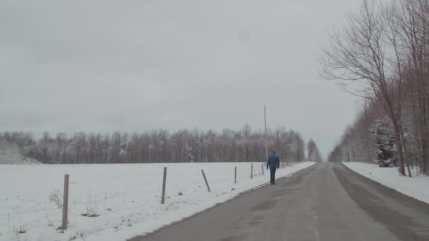 Person walking on a paved road next to a snowcovered field and leafless trees