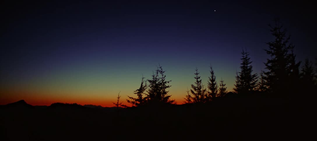 A long shot of the silhouettes of several evergreen trees against a dark blue sky which fades to a bright orange at the horizon a single bright star is visible in the sky