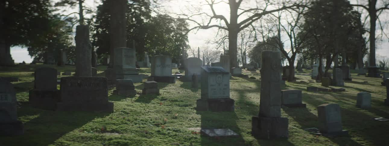 Cemetery with rows of gravestones and tombs surrounded by sparse trees on a sunny day