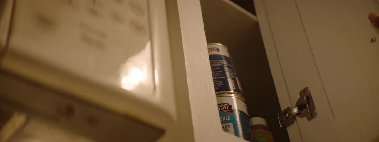 A persons hand reaches into a cupboard and grabs a canned food