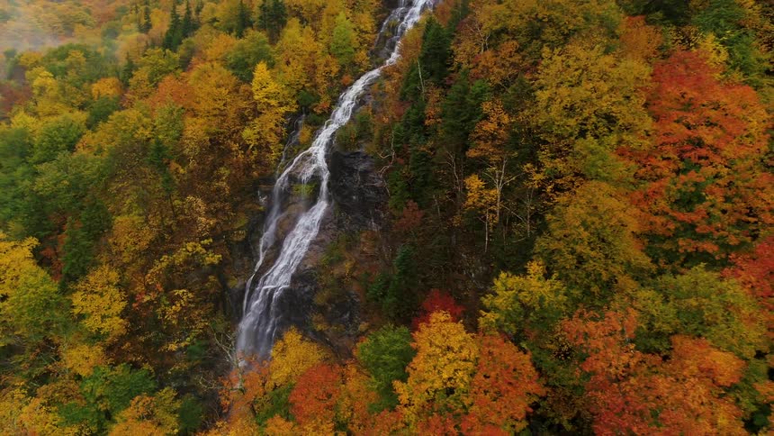 Waterfall flowing between trees with autumn foliage in shades of yellow orange and red