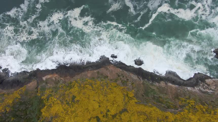 This is an overhead drone video of a dramatic coastline the rough churning ocean water crashes into the dark rocky shore where the land transitions to vibrant yellow hills