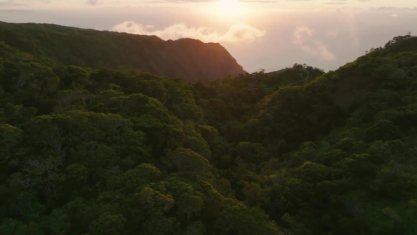 A dense green forest with thick foliage covers rolling hills and mountains in the late afternoon or early morning a golden sun shines brightly over a mountain ridge casting a warm glow over the landscape