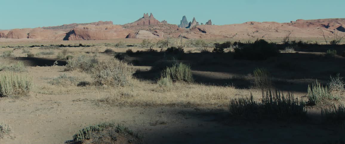Desert plain with dry shrubs and distant red rocks under a bright sky