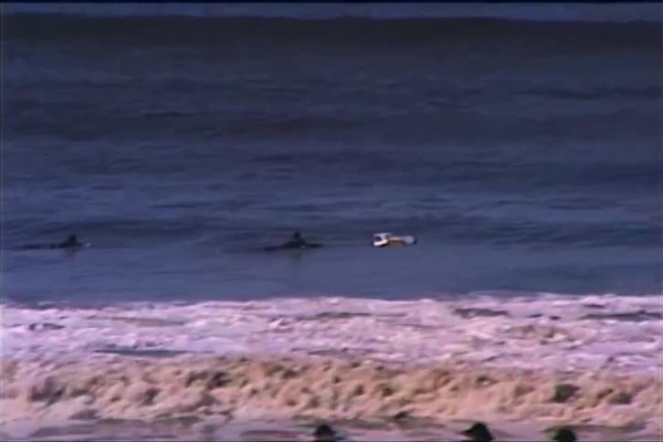 The bird flies over the coastline