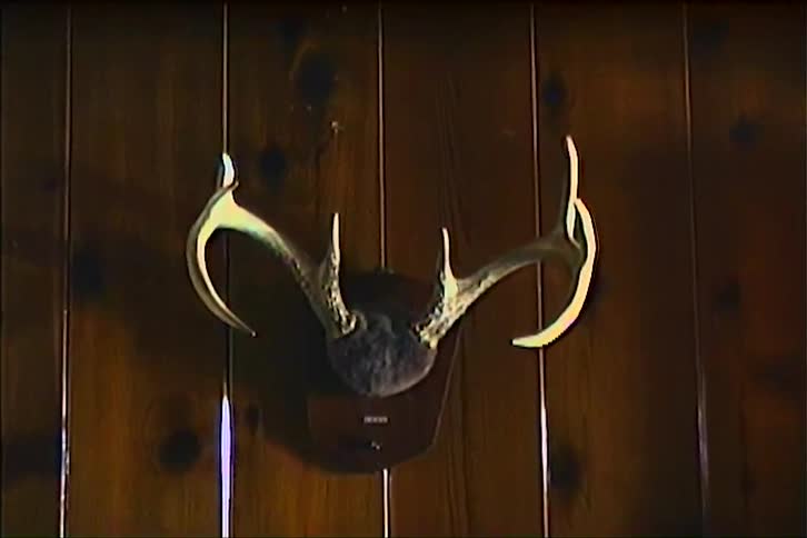 Deer antlers mounted on a wooden plaque hanging on the wall