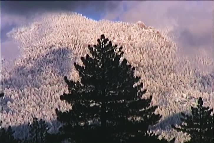 Frost and snow cover a portion of a forested mountain range on a cloudy winter day