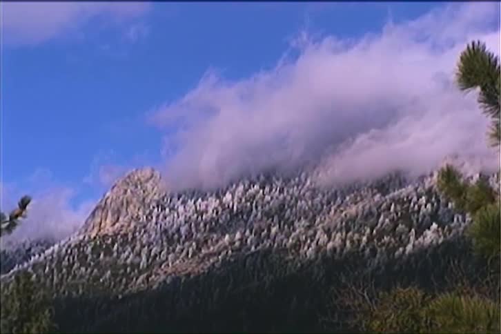 Clouds are touching a mountain top as they drop snow on the trees