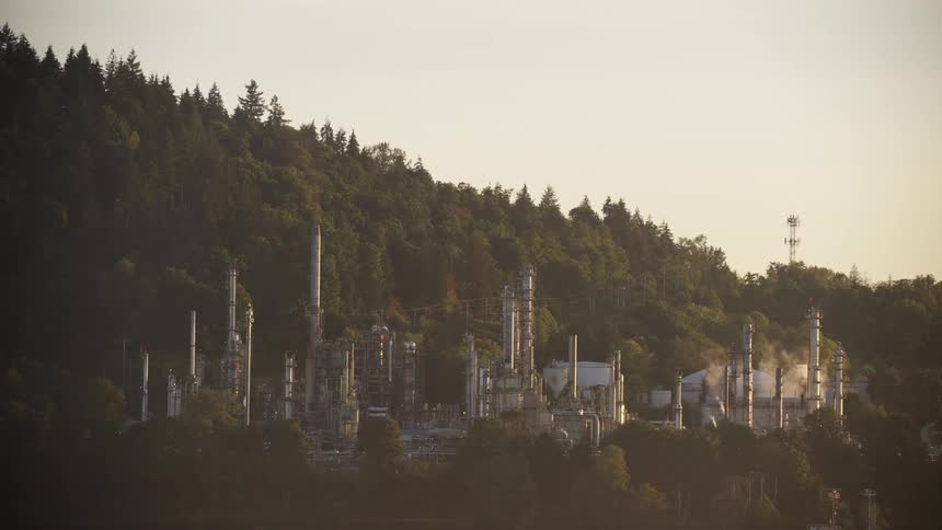 A refinery plant surrounded by trees