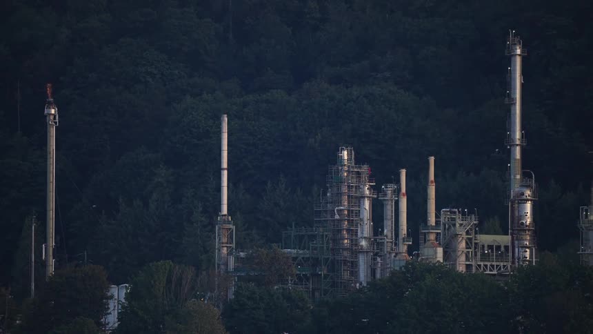 Industrial smokestacks and chimneys letting out flames and smoke surrounded by trees