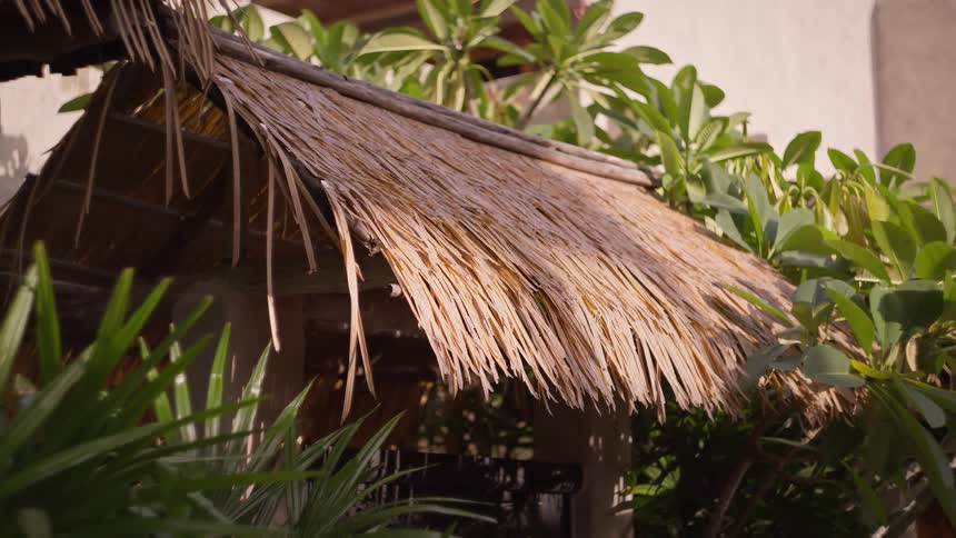 Thatched roof surrounded by tropical foliage