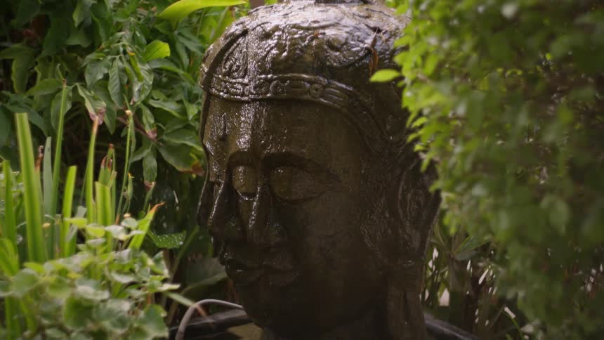 A stone statue of a buddha head has water flowing from the top surrounded by plants