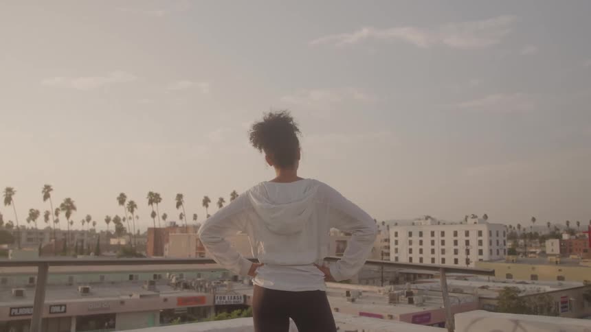 A person on a rooftop overlooking a city with palm trees under a soft sky