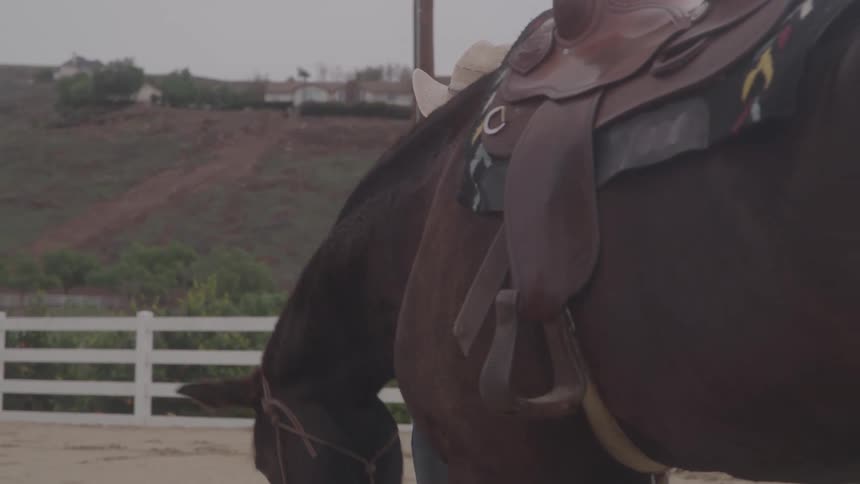 A woman and her horse