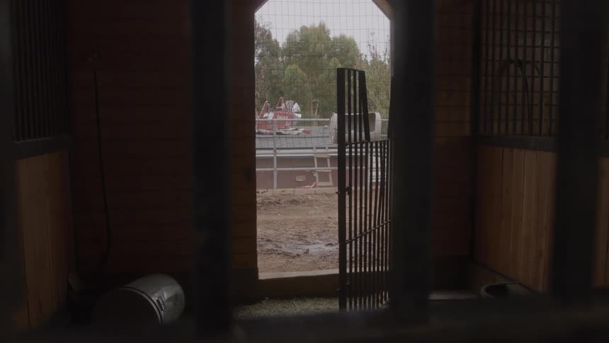 Inside of a barn looking out